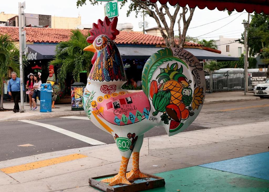 Quiet Studio Near Calle Ocho In Miami Lejlighed Eksteriør billede